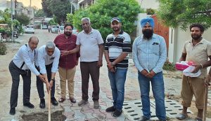 यादविन्द्रा कॉलोनी में ड्रेनेज सिस्टम का काम शुरू, वॉटरलॉगिंग की समस्या से मिलेगी राहत