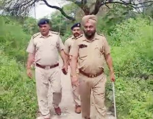 नशे के खिलाफ चंडीगढ़ पुलिस का बड़ा सर्च ऑपरेशन, हल्लोमाजरा में पुलिस ने खंगाला पूरा इलाका